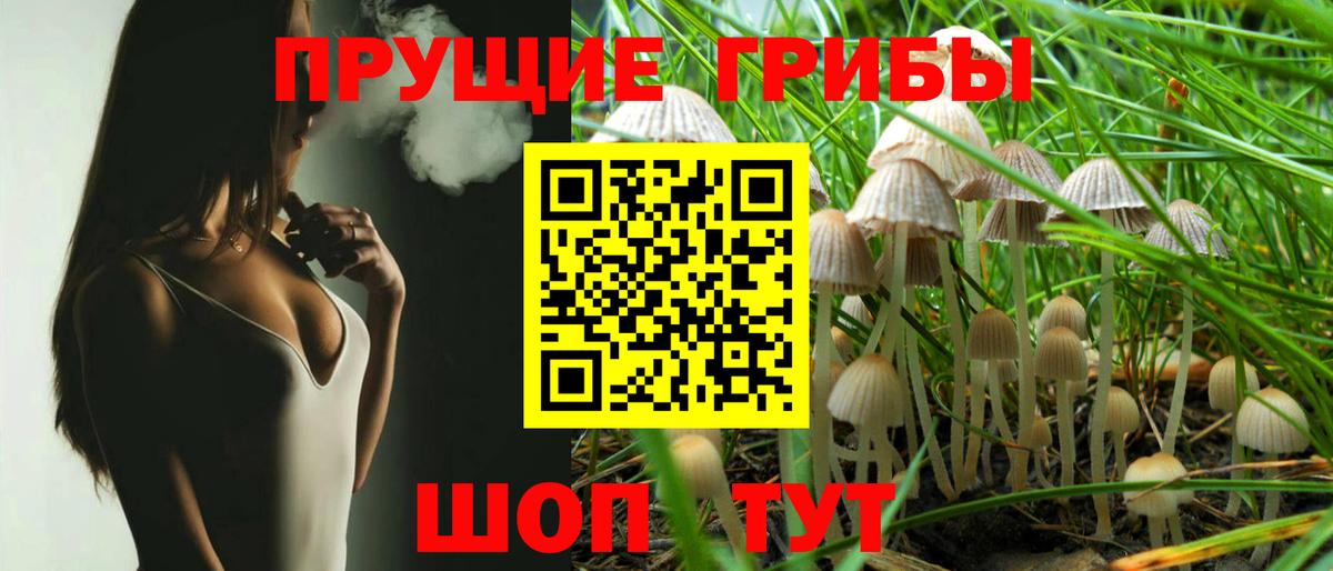 Псилоцибиновые грибы ЛСД Губкинский