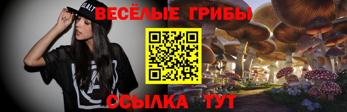 Галлюциногенные грибы Psilocybe  Галлюциногенные грибы ЛСД  Губкинский  Вход с VPN 